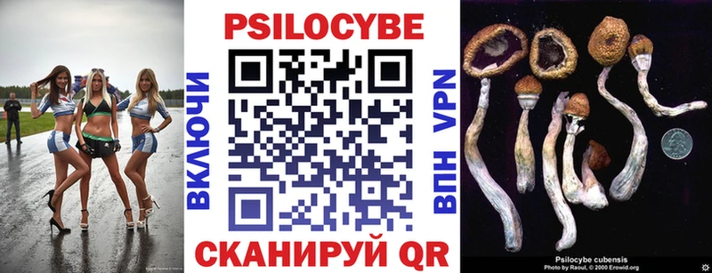 Галлюциногенные грибы прущие грибы  Новозыбков 