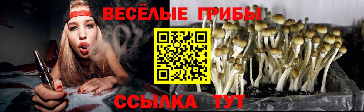 Псилоцибиновые грибы мухоморы Новозыбков